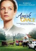 Прощение Амишей / Amish Grace 2010