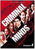 Мыслить как преступник / 6 сезон / Criminal Minds 2010