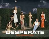 Отчаянные домохозяйки | Desperate Housewives (1 сезон) Онлайн