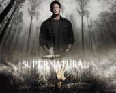 Сверхъестественное | Supernatural (6 сезон) Онлайн