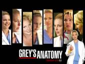 Анатомия страсти | Grey's Anatomy (5 сезон) Онлайн