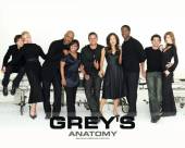 Анатомия страсти | Grey's Anatomy (7 сезон) Онлайн